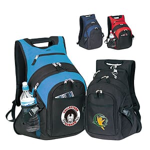 600D polyester Deluxe Computer Backpack