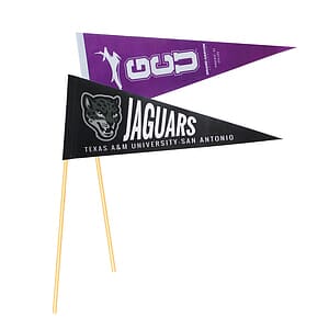 Free Shipping Felt Promotional Pennant Flag