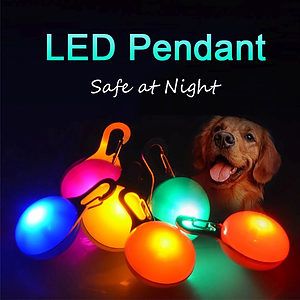 LED Clip On Pet Safety Light