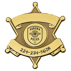 Sheriff's 6 Point Star Badge