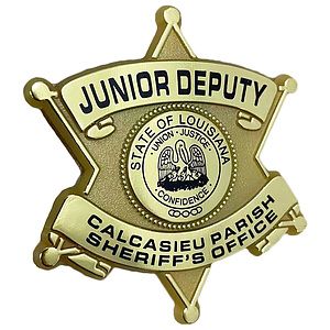 Sheriff's 6 Point Star Badge