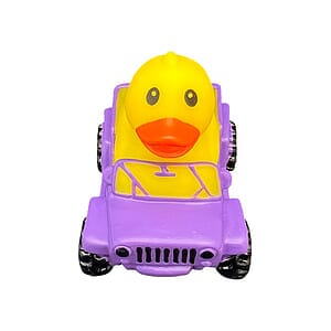 Custom Rubber Ducks
