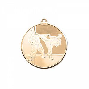 3D Mint Quality Medal for Karate
