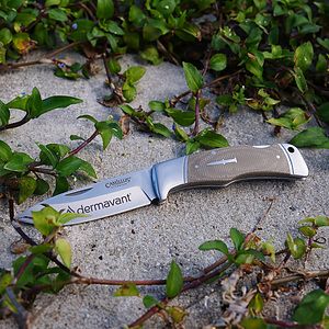 Camillus® The Classic Lock Back Pocket Knife