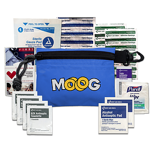 Mini First Aid Kit