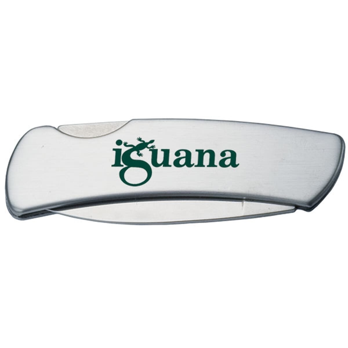 Stainless Steel Lock Knife