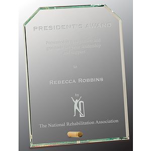 6" x 8" Clear Clipped Corners Rectangle CrystalEdge Glass Award