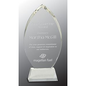 10 1/4" Crystal Oval Award on Clear Base