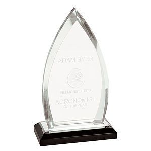8.75" Silver Oval Impress Acrylic Award