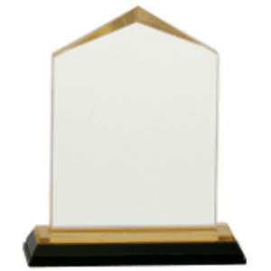 5.5" Gold Jewel Impress Acrylic Award