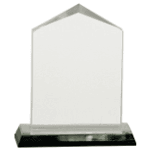 5.5" Silver Jewel Impress Acrylic Award