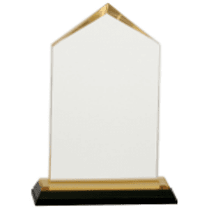 6.5" Gold Jewel Impress Acrylic Award