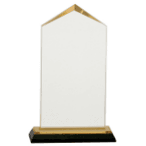 7.5" Gold Jewell Impress Acrylic Award