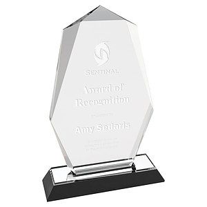 5" x 8" Silver Octagon Point Impress Acrylic Award