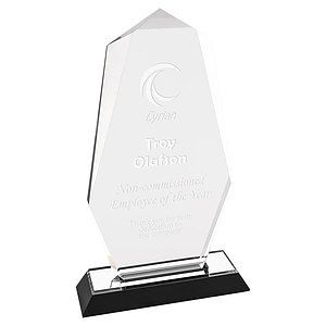 5" x 9" Silver Octagon Point Impress Acrylic Award
