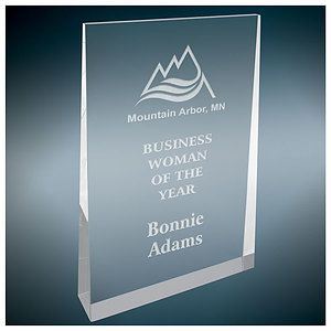5" X 8" Silver Acrylic Wedge Award