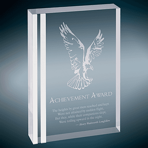 6" x 8" Silver Rectangle Acrylic Award