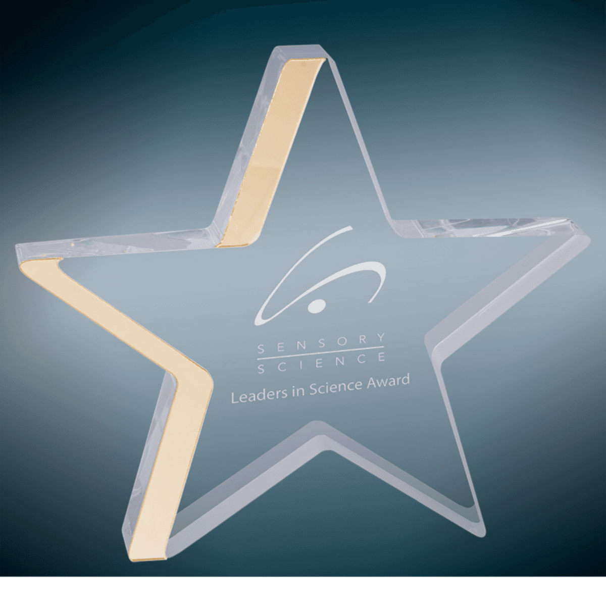 7.75" x 7" Gold Star Acrylic Award