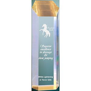 3" x 10" Gold Tower Acrylic Award