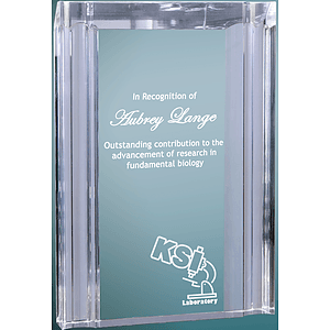 5" x 7" Clear Channel Acrylic Award