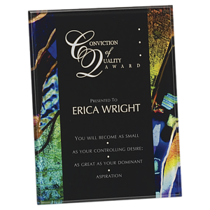 8.75" x 11.75" Blue Art Acrylic Plaque Award