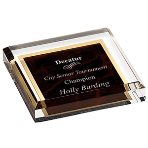 3 3/4" x 3 3/4" Red Acrylic Paperweight Award