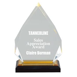 Impress Acrylic Diamond Award