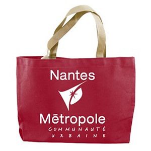 Colored Canvas Tote w/Gusset (14"x11"x3")