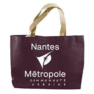 Colored Canvas Tote w/Gusset (14"x11"x3")