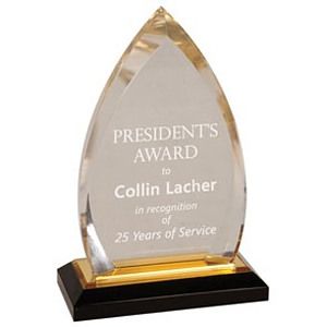 Impress Acrylic Oval Award