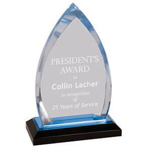 Impress Acrylic Oval Award