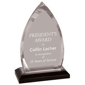 Impress Acrylic Oval Award