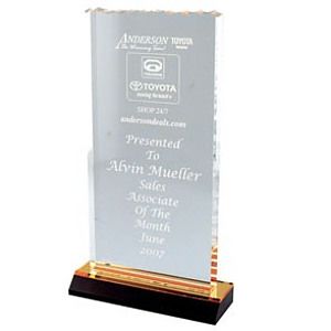 Ice Top Reflection Award (5"x10")