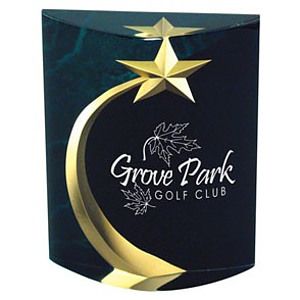 Shooting Star Marblelized Award