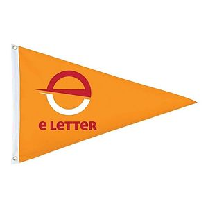 5ft x 8ft Double-Side Imprint Triangle Pennant Flag