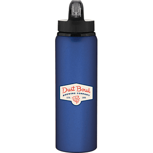 28 oz h2go allure