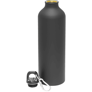 24 oz h2go aluminum classic