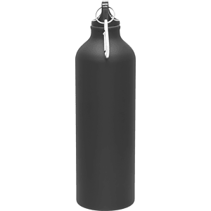 24 oz h2go aluminum classic