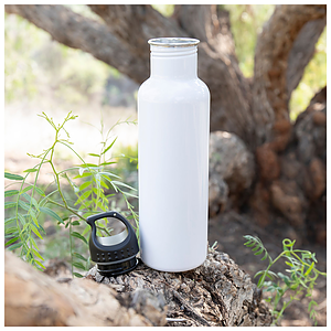 24 oz h2go bolt
