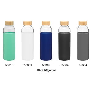 18 oz h2go bali