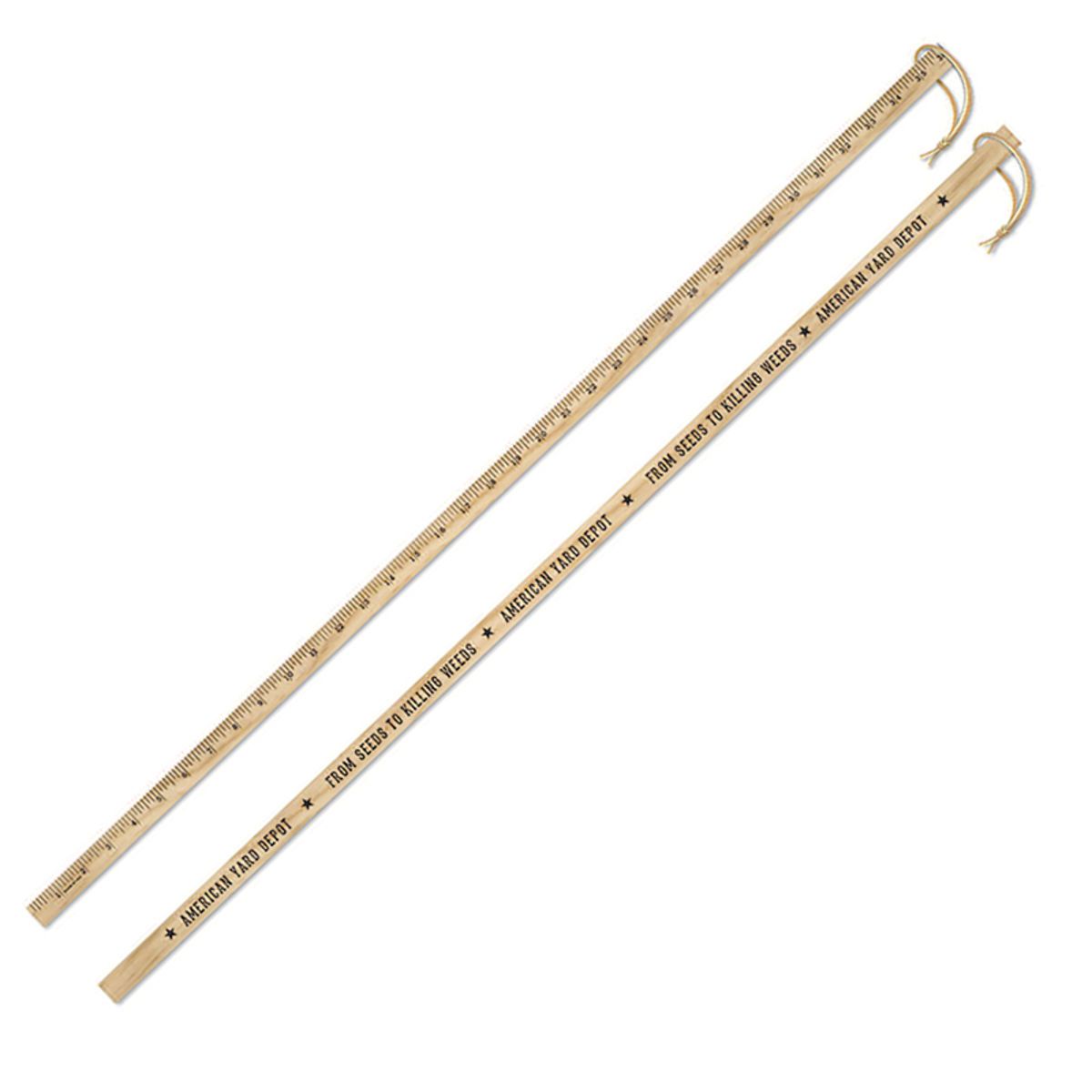 Yardstick (Walking sticks) 1 side