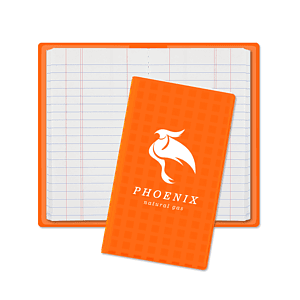 Original Reflective Tally Book Junior