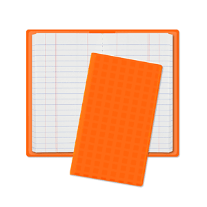 Original Reflective Tally Book Junior