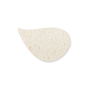 Expand-It Sponge - Leaf