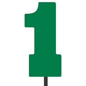 1 Antenna Topper