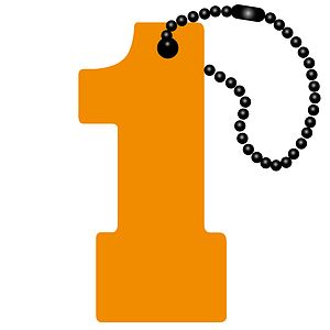 1 Key Tag