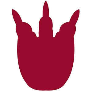 Foam Claw Talon