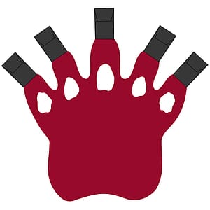 5 Claw Paw Mitt
