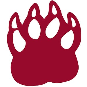 Foam Cat Claw Mitt