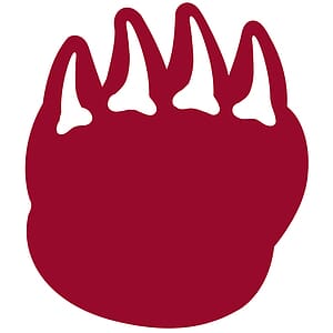 Foam Dragon Claw Mitt